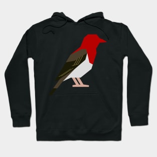 Graphic Nature - Red-Headed Weaver Hoodie